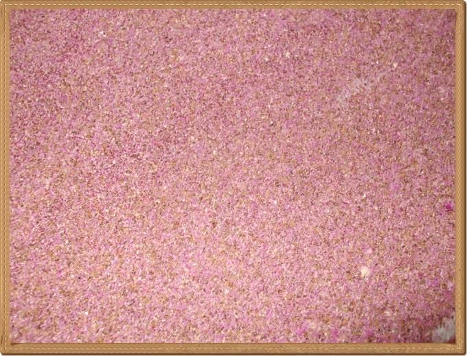 kurutulmuş gül tozu