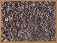 kurutulmuş dana eti