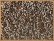 kurutulmuş tavuk eti