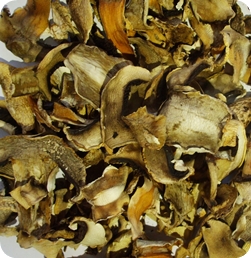 kurutulmuş mantar