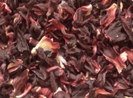 Kırılmı Hibisks