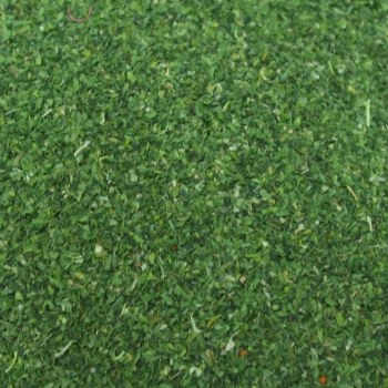 0,5 -1 mm arası ıspanak tozu